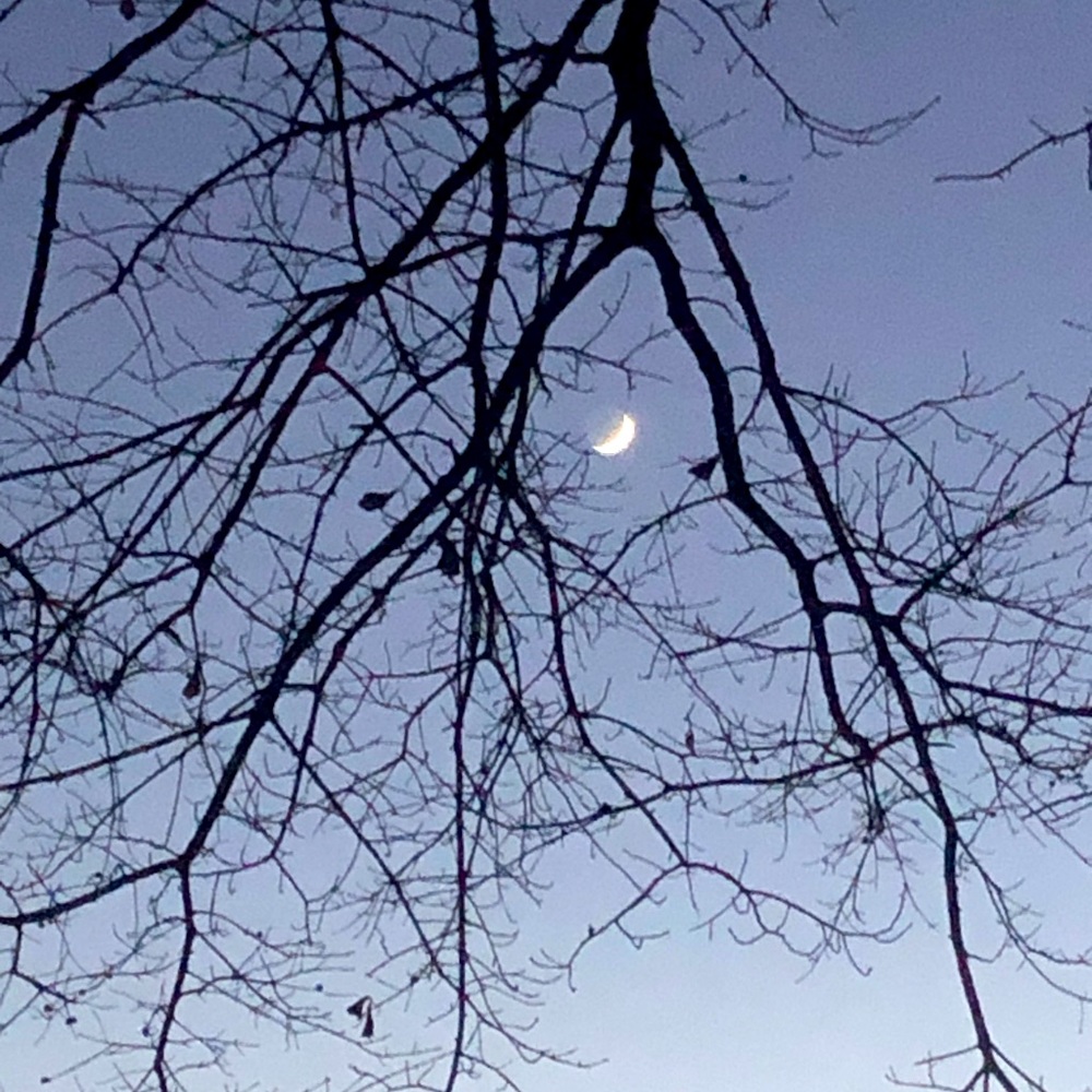 Meet your Posher, Lee